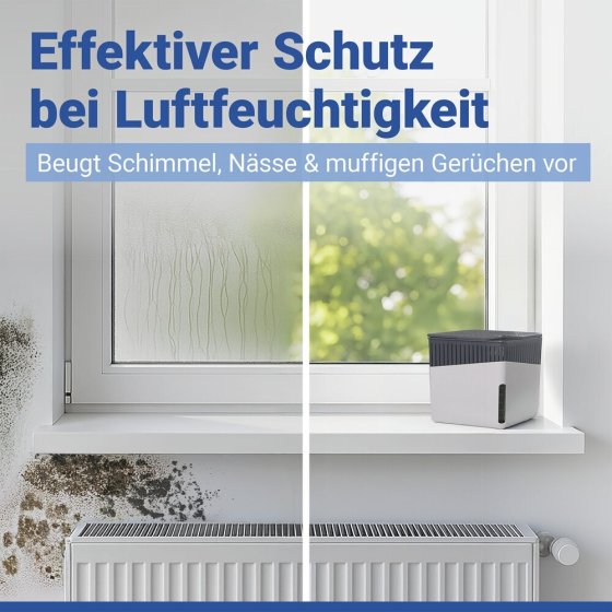 Raumentfeuchter Mod. Cube Grau 500 g, 2er Set, beugt Schimmel und Gerüchen vor 