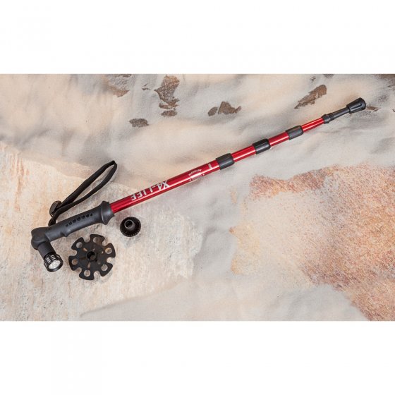 Teleskop-Trekking-Stock