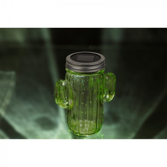 Solarlampe Kaktus