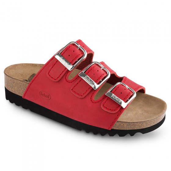 Scholl Rio
