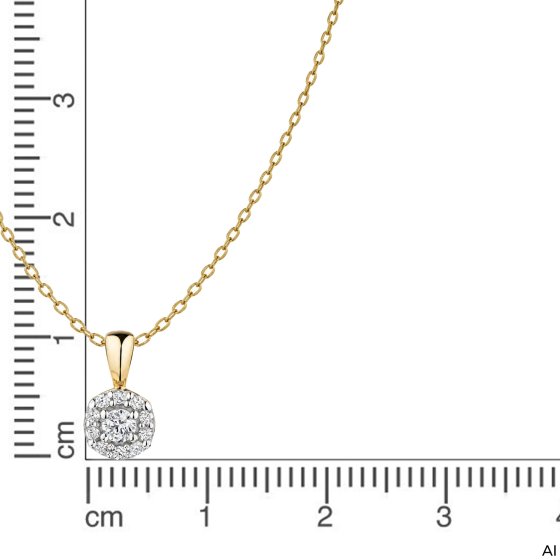 Anhänger mit Kette 375 Gold Gelb Zirkonia Halo 11 CZ Anhänger mit Ankerkette 42 cm 