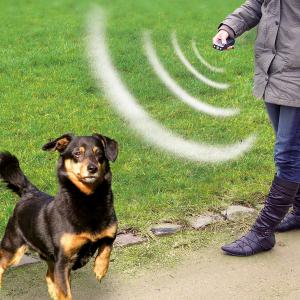 Ulltraschall Hundeabwehr mit Blitzlicht 