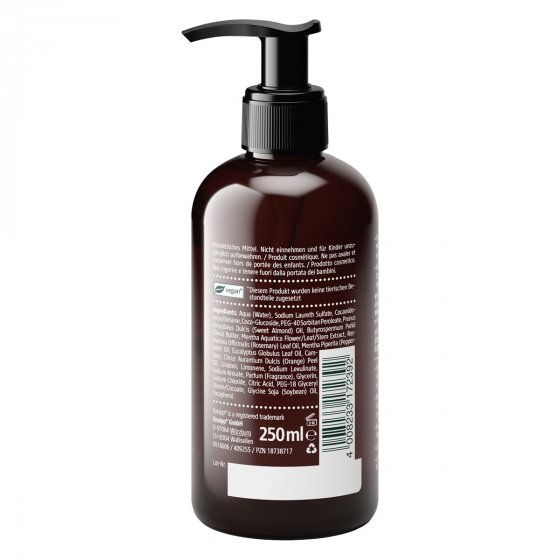 Kneipp milde Aroma Pflege Handseife Wasserminze Rosmarin 250ml 