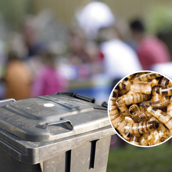 Geruchs- und Madenstopp 