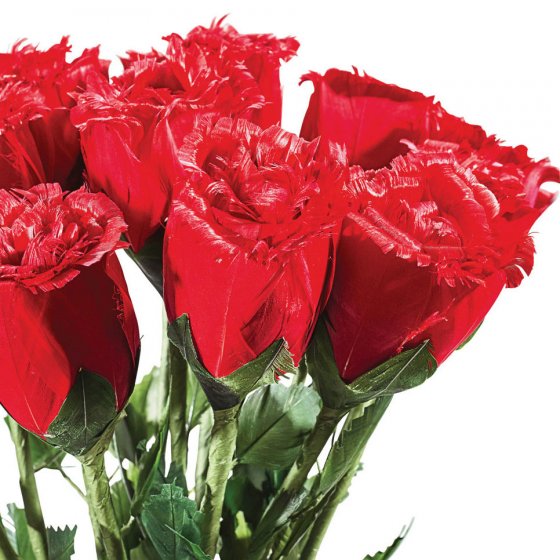 Handgefertigte Rosen aus Gänsefedern 12 Stück 