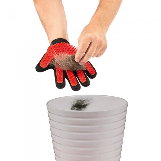 Bürstenhandschuh