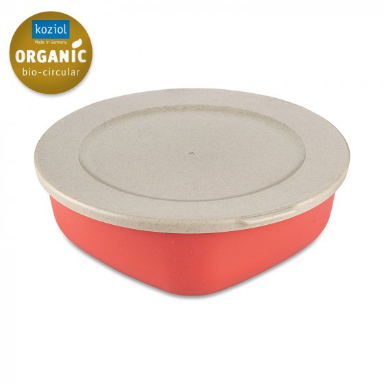 Frischhaltedose 1,3 Liter CONNECT BOX 