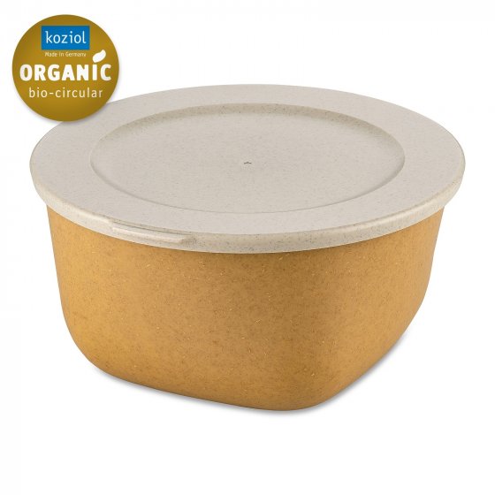 Frischhaltedose 2 Liter CONNECT BOX 