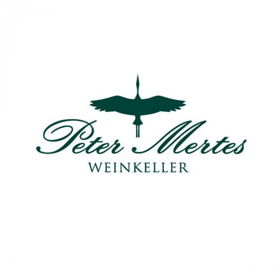 City Rosato Rose Frizzante Secco Rose Wein aus der Dose 200ml 