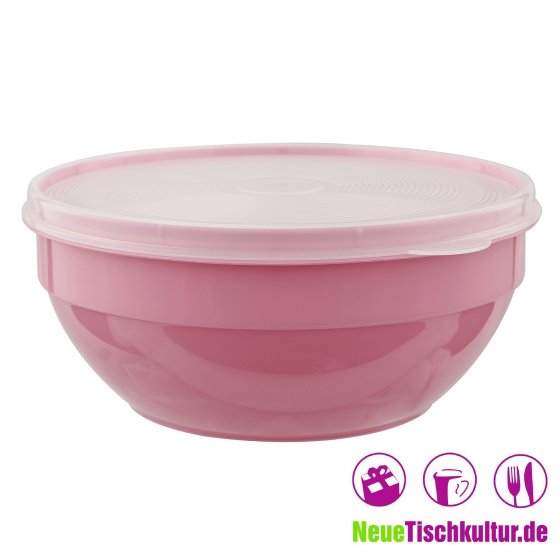 Vorratsdose 1 Stück 2,5 L 