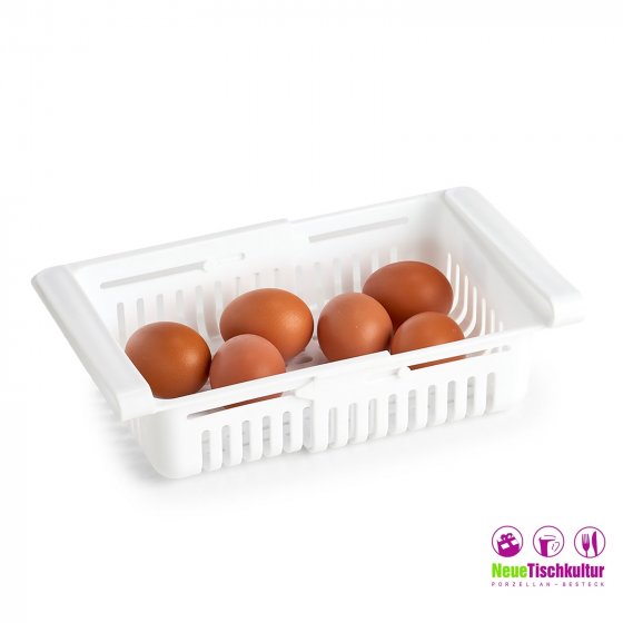 Kühlschrankbox ausziehbar 