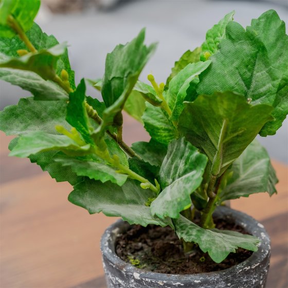 Grünpflanze im Topf Kunstpflanze Flora