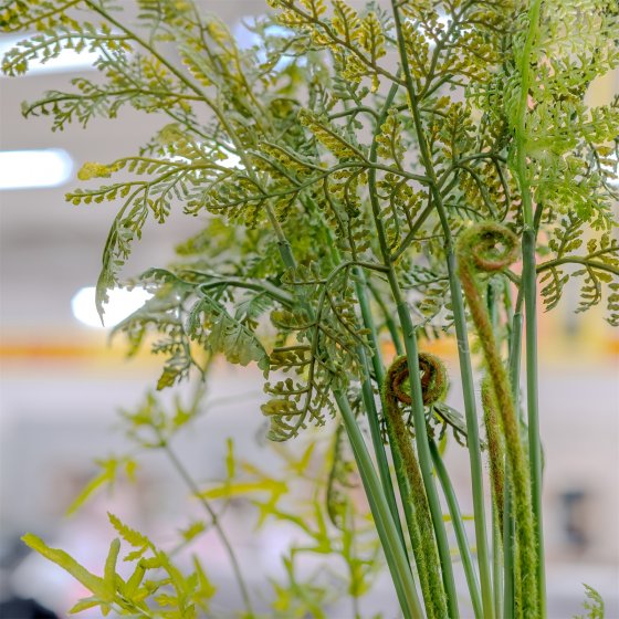 Kunstpflanze Farn-Busch Flora