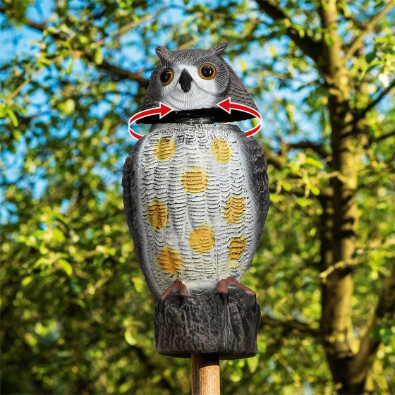 Garteneule „Vogelschreck” 