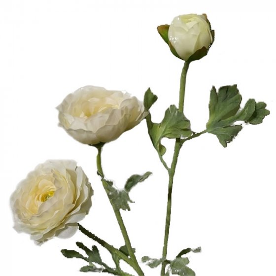 Ranunkel 2er Set Weiß Flora