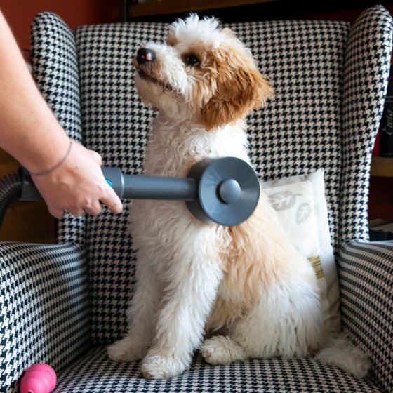 Tierhaar Bürstenset 