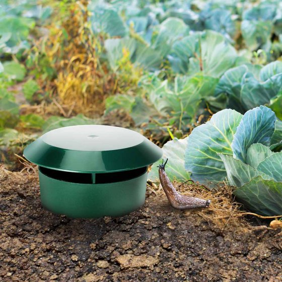 Schneckenfallen im 2er-Pack 