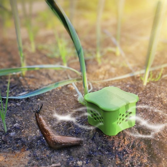 Schnecken-Verdufter-Stecker 