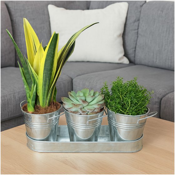 Zinktöpfe 3er-Set dekorative Pflanzgefäße für Fensterbank und Garten 