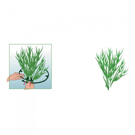 Staudenringe im 6er-Pack 