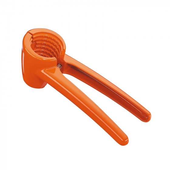 Nussknacker KNACKI COLORE 