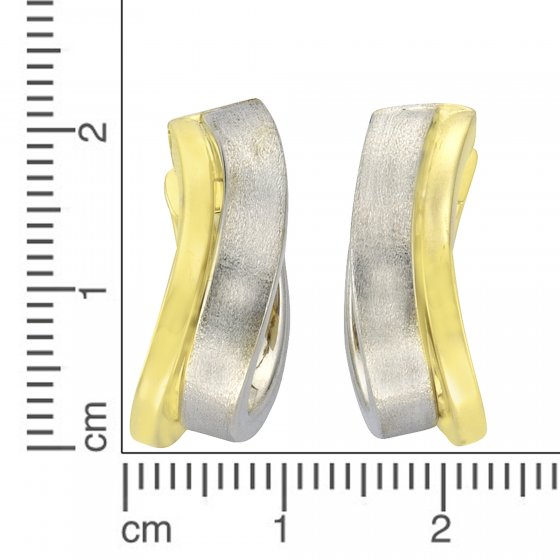 Ohrring 333/- 2-farbig 