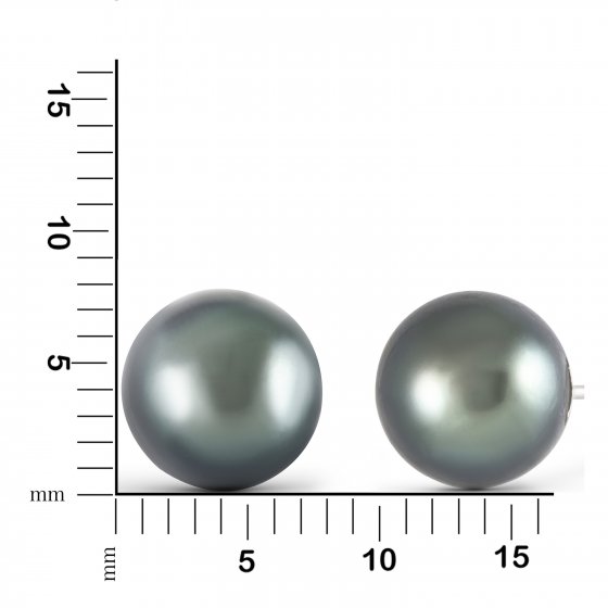 Ohrringe Weißgold 585 Tahiti-Perle 8-8,5mm 