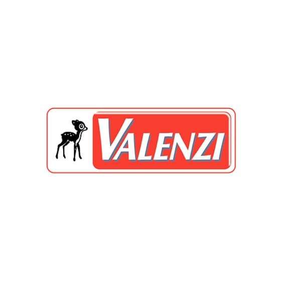 Valenzi Wildpreiselbeeren arttypisch fruchtig herber Geschmack 2000g 