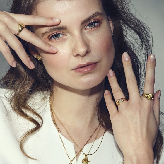 Ring 925/- Silber vergoldet Taube Siegelring 