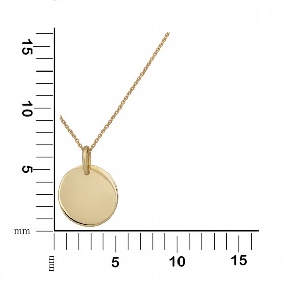 Halskette Gold 375 mit rundem Anhänger 40/42cm lang 