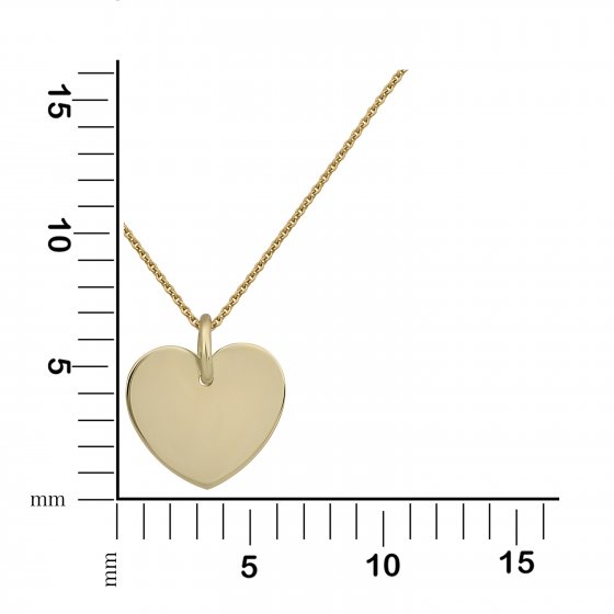 Halskette Gold 375 mit Herz-Anhänger 40/42cm lang 