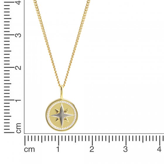 Halskette 375 Gold zweifarbig mit Windrosen-Motiv 42/45cm lang 