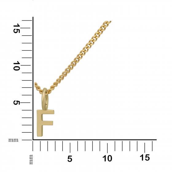 Halskette Gold 375 mit Anhänger 42/45cm lang Buchstabe F 