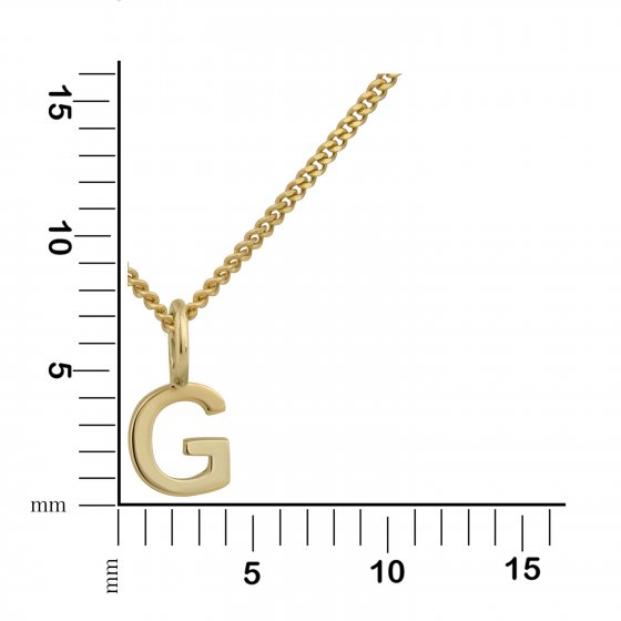 Halskette Gold 375 mit Anhänger 42/45cm lang Buchstabe G 