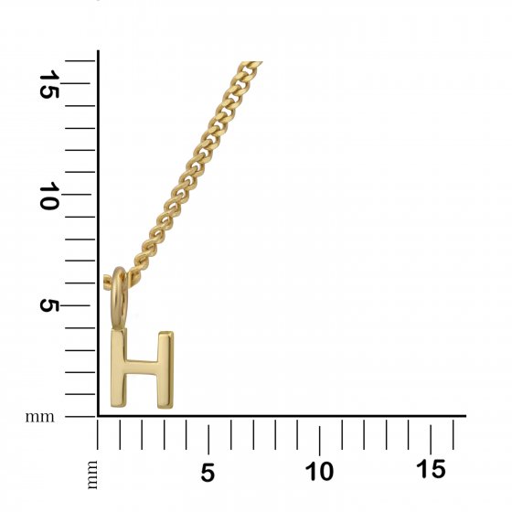 Halskette Gold 375 mit Anhänger 42/45cm lang Buchstabe H 