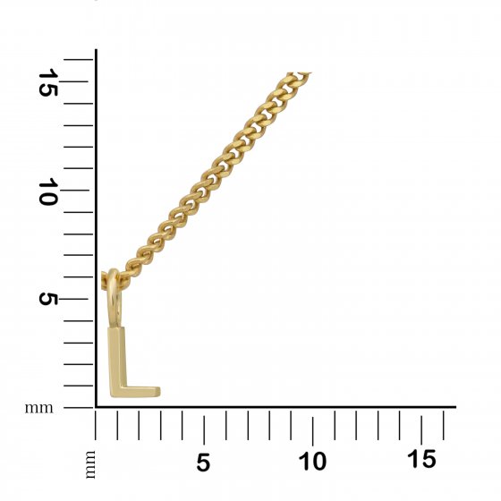 Halskette Gold 375 mit Anhänger 42/45cm lang Buchstabe L 