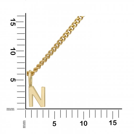 Halskette Gold 375 mit Anhänger 42/45cm lang Buchstabe N 