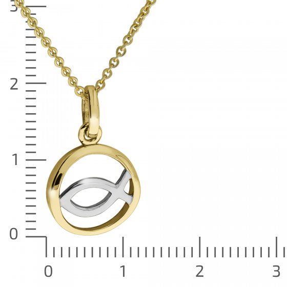 Halskette 375/- Gelbgold bicolor Fisch 