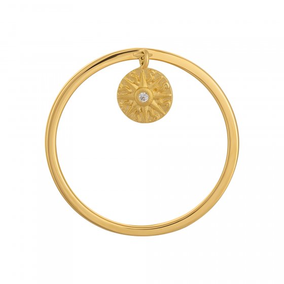 Ring 925 Silber Anhänger Münze vergoldet Sonne Zirkonia 