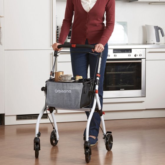 OWR 108 Wohnungsrollator 