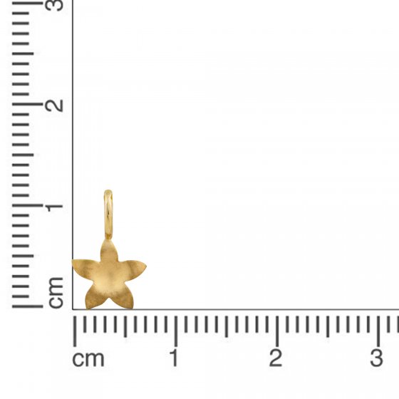 Anhänger 585 Gold mit Blumen-Motiv 7mm breit 