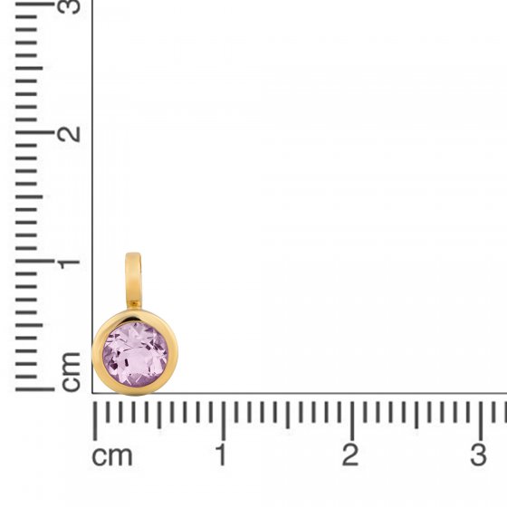 Anhänger 585 Gold mit Amethyst 5mm 