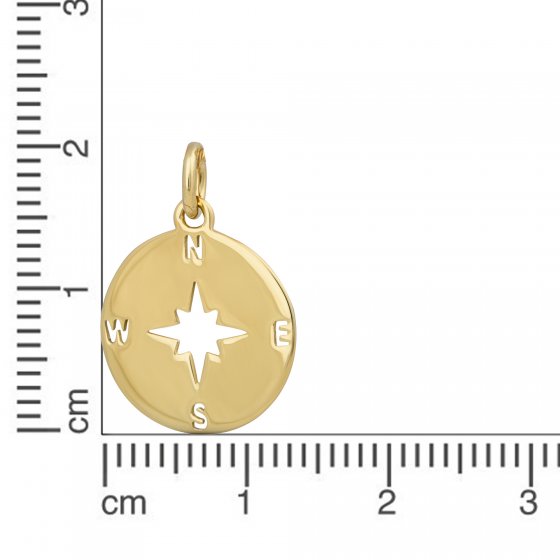 Anhänger Gold 375 mit Kompass-Motiv 