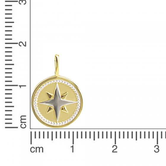 Anhänger 375 Gold zweifarbig mit Windrosen-Motiv 