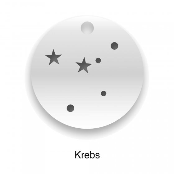 Collierkette 925-Sterling Silber  Glänzend 42cm 