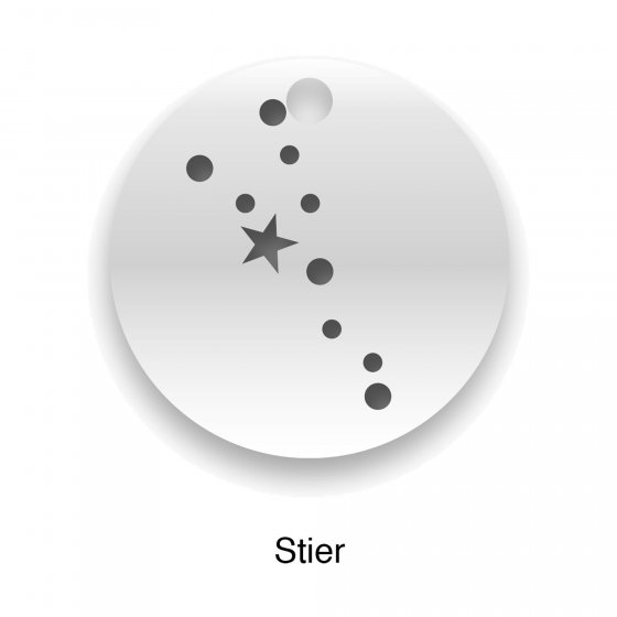 Collierkette 925-Sterling Silber  Glänzend 42cm 