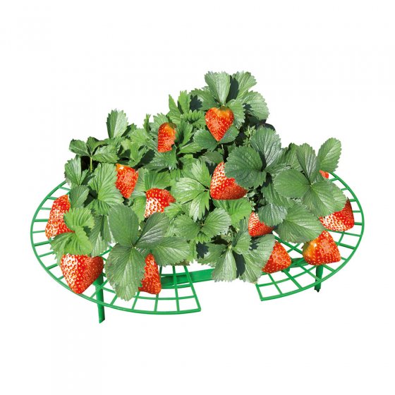 Erdbeer-Reifer 10 Stück 