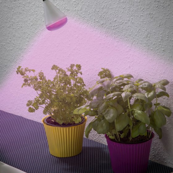 LED-Pflanzenleuchte 