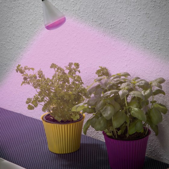 LED-Pflanzenleuchte