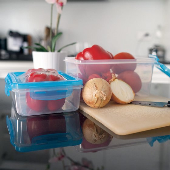 Frischhaltedosen mit Flexideckeln 2er-Set